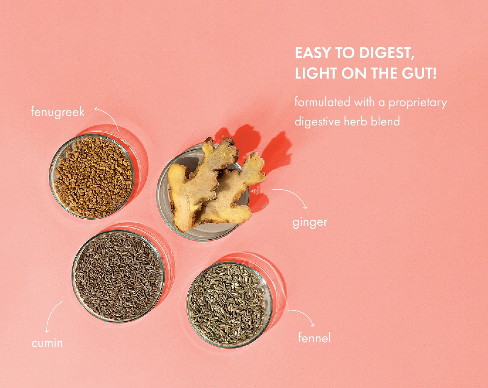 No-Nonsense Plant Protein - Chilli Guava - Image 4